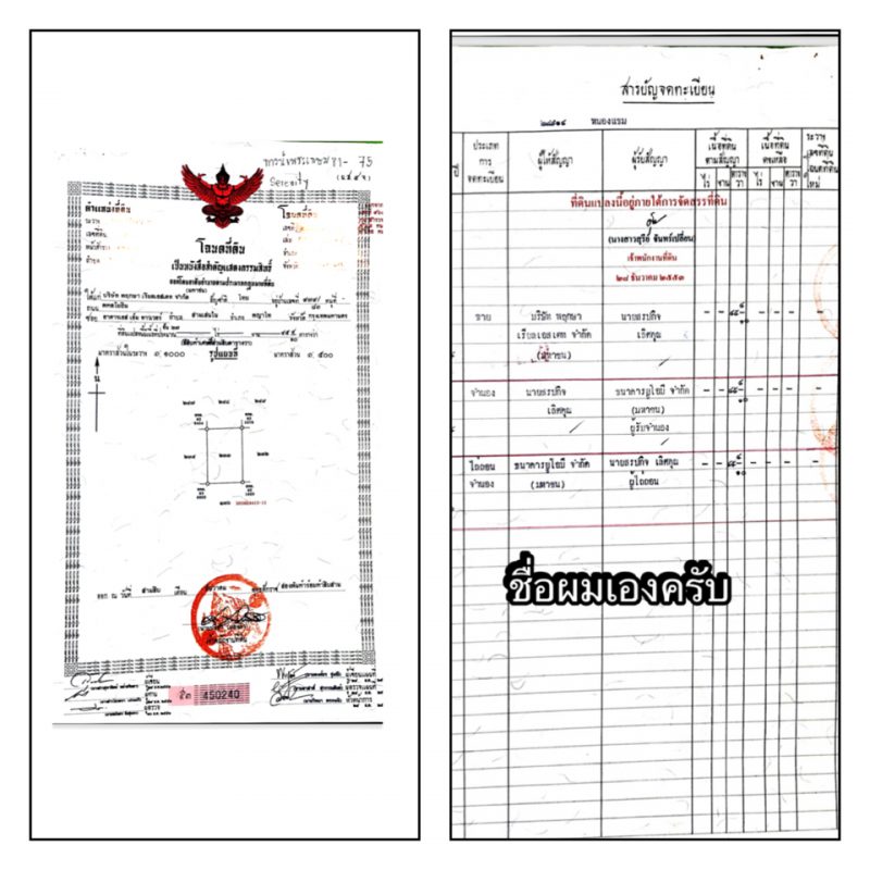 หมู่บ้านพฤกษ์ษาสินีรีตี้1 บ้านเดี่ยว 45.5 ตรว. ซอยเพชรเกษม81 ตรงข้ามปั๊มน้ำมัน ปตท.