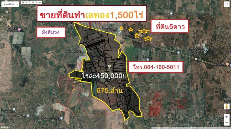 ขายที่ดิน 1,500 ไร่ ติดถนนโชคชัย-เดชอุดม ต.ตะคุ อ.ปักธงชัย จ.นครราชสีมา