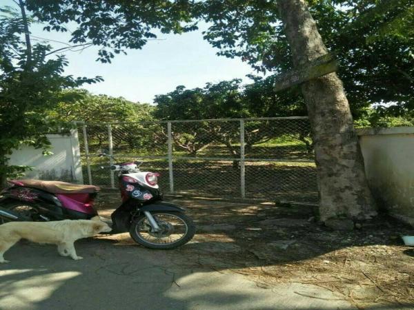 ขายที่ดิน 55ไร่ เหมาะสำหรับทำบ้านจัดสรรค อยู่ทางไปออบขาน ตำบลน้ำแพร่