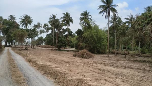 พร้อมจับจอง ที่ดินริมทะเล ติดหาดสมุย สัมผัสธรรมชาติ และวิวเหนือคำบรรยายบนเกาะสมุย