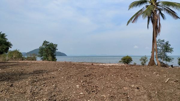 พร้อมจับจอง ที่ดินริมทะเล ติดหาดสมุย สัมผัสธรรมชาติ และวิวเหนือคำบรรยายบนเกาะสมุย