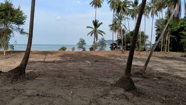 พร้อมจับจอง ที่ดินริมทะเล ติดหาดสมุย สัมผัสธรรมชาติ และวิวเหนือคำบรรยายบนเกาะสมุย