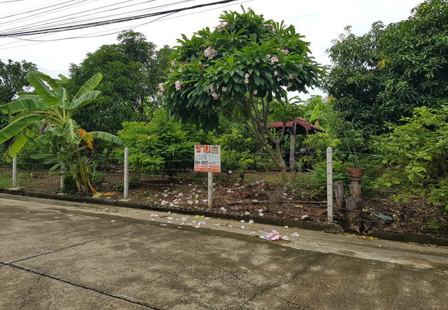 ขาย ที่ดิน ในหมู่บ้านสาวิตรี ศาลาธรรมสพน์ 31 ถนนพุทธมณฑลสาย 3 เขตทวีวัฒนา กรุงเทพมหานคร