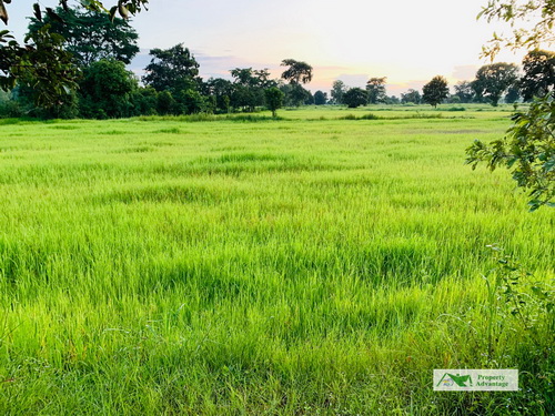 ที่ดิน 9-0-58.1 ไร วาปีปทุม จ.มหาสารคาม