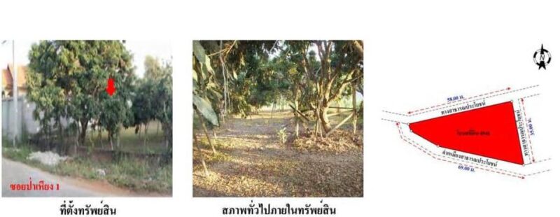 ให้เช่า ที่ดิน หารแก้ว 300 ตร.วา ซ.ป่าเหียง 1 เชียงใหม่