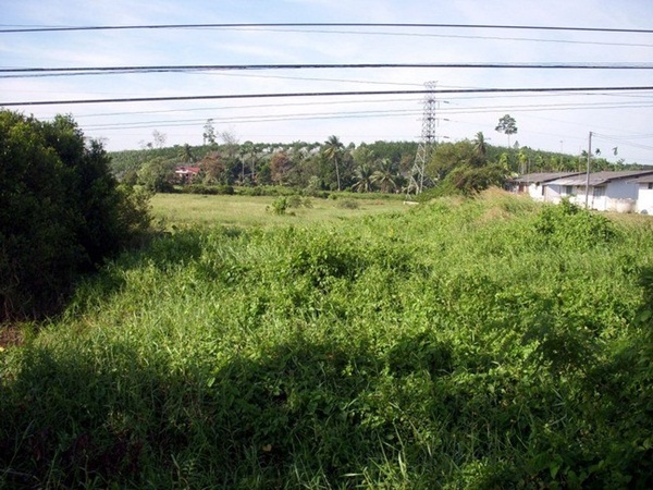 ขายที่ดิน ติดถนนสุขุมวิท วังกระแจะ อำเภอเมืองตราด 11 ไร่