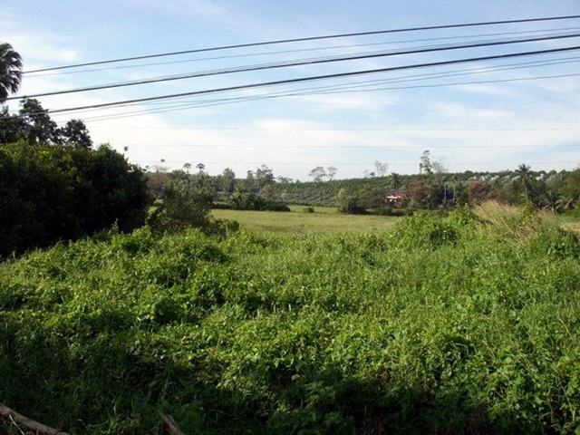 ขายที่ดิน ติดถนนสุขุมวิท วังกระแจะ อำเภอเมืองตราด 11 ไร่