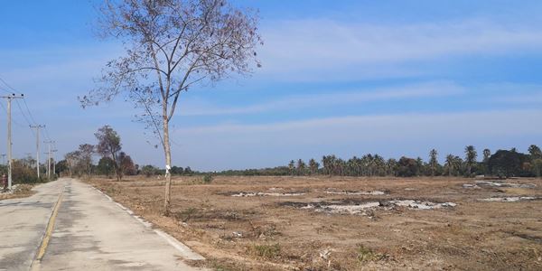 ขายที่ดิน วิวเขา ใกล้หาดชะอำ เพชรบุรี 103 ไร่ ทำเลสวยใกล้แหล่งท่องเที่ยว