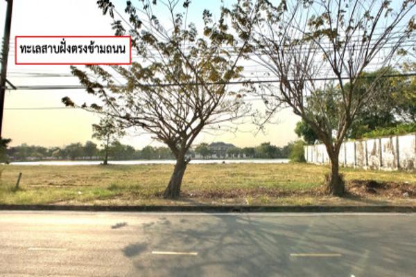 ขาย ที่ดิน กรีนวัลเล่ย์ บางนา 2 งาน 60 ตร.วา หลังทะเลสาบ อากาศบริสุทธิ์ เหมาะสำหรับสร้างบ้านพักอาศัย