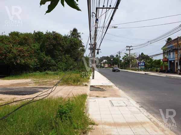 ขายที่ดินบนเกาะสมุย 4-3-64 ไร่ มีความอุดมสมบูรณ์มาก เหมาะสำหรับการพัฒนาเป็นรีสอร์ต, ร้านอาหาร, ที่พักส่วนตัว