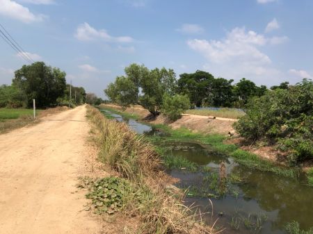 ขาย  ที่ดิน ที่ดินเปล่าสวยถมเรียบร้อย ที่ดินแบ่งขายคลอง 8 100ตรว