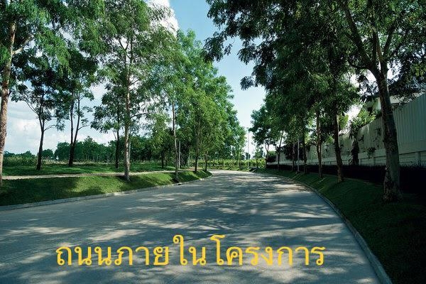 Condo โครงการ LAND and HOUSE AT SERENE LAKE North 1 Condo ชั้น 5 ห้องมุม เชียงใหม่