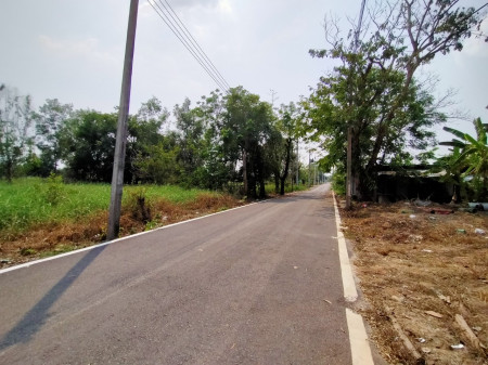 ขาย ที่ดิน ติดถนนลาดยาง น้ำ ไฟฟ้า ผ่าน ที่ดินเปล่า คลองหก ตะวันออก110 50 ตร.วา