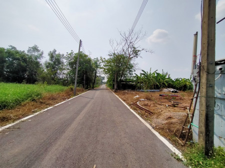 ขาย ที่ดิน ติดถนนลาดยาง น้ำ ไฟฟ้า ผ่าน ที่ดินเปล่า คลองหก ตะวันออก110 50 ตร.วา