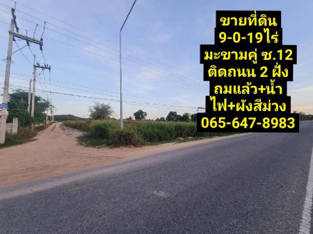 ขายที่ดินระยอง มะขามคู่ ซอย12    – 9 ไร่ 0 งาน 19 ตร.วา ขายถูกมาก ผังสีม่วง – 065-647-8983