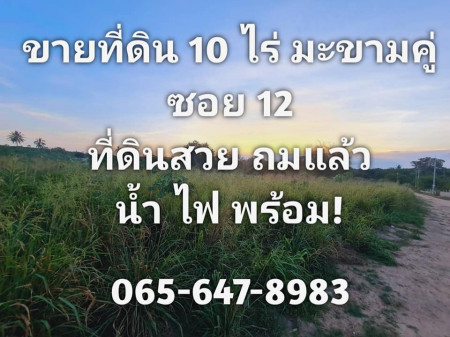 ขายที่ดินระยอง มะขามคู่ ซอย12    – 9 ไร่ 0 งาน 19 ตร.วา ขายถูกมาก ผังสีม่วง – 065-647-8983