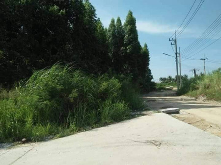 ขาย ที่ดิน  ถนนข้าวหลาม เส้นตัดใหม่มอเตอร์เวย์หนองมน บางแสน  ที่ดินชลบุรี 16 ไร่ 34 ตร.วา ที่ดินถมแล้ว