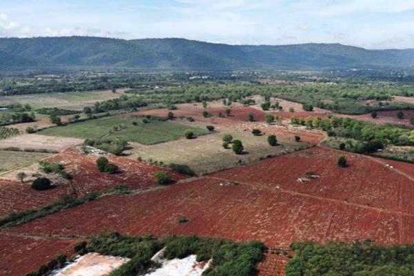 ขาย ที่ดิน เขาใหญ่ เห็นทิวเขา สวยสุดๆ  หมูสี 50 ไร่ ต.หมูสี อ.ปากช่อง