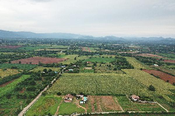 ขาย ที่ดิน ต. หมูสี อ.ปากช่อง ที่ดิน เขาใหญ่ 10 ไร่ สวยมากๆ