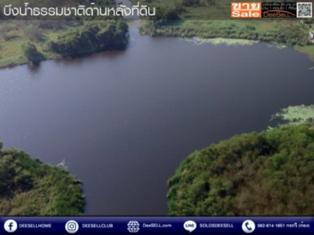 ขาย ที่ดิน เอแบค บางนา แปลงสวย หัวมุม ถมแล้ว 2-3-23 ไร่