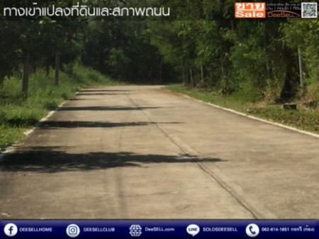 ขาย ที่ดิน เอแบค บางนา แปลงสวย หัวมุม ถมแล้ว 2-3-23 ไร่