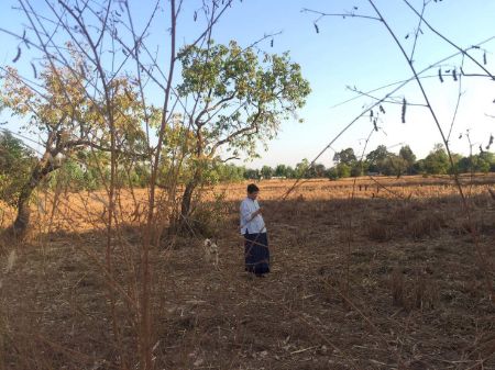 ขาย ที่ดิน ขายที่ดินจำนวน 6 ไร่ต.สามพร้าว อ.เมืองอุดรธานี 6 ไร่ พร้อมออกค่าโอนให้ทั้งหมด