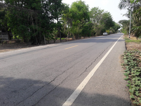 ขายที่ดินคลองเจ็ด หนองเสือ 90 ไร่  ใกล้ ม.ปิ่นฤทัย เหมาะสำหรับสร้างบ้านจัดสรร