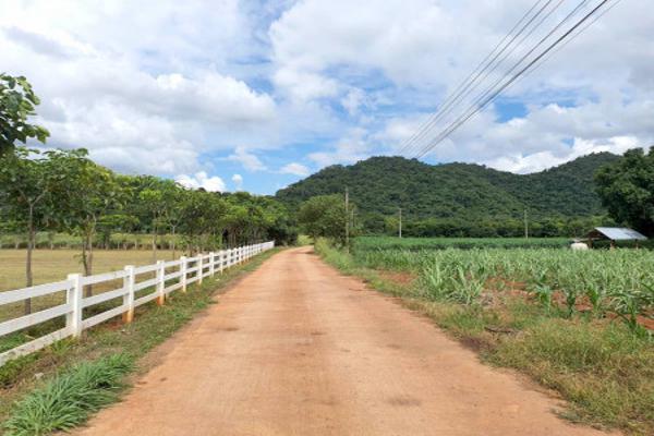 ขาย ที่ดิน เขาใหญ่ ต.ขนงพระ อ.ปากช่อง 10 ไร่ วิวเขา สวยมากๆ