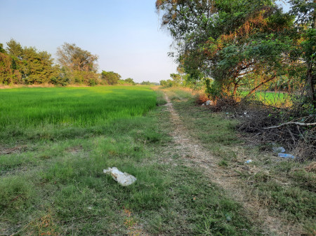 ขายที่ดินใกล้วัดอู่ข้าว 50 ไร่ ใกล้ถนนเส้นธัญบุรี-วังน้อยเพียงแค่ 2 นาที