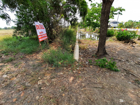 ขายที่ดินหนองจอก ติดถนนสังฆสันติสุข เหมาะทำหมู่บ้านจัดสรร