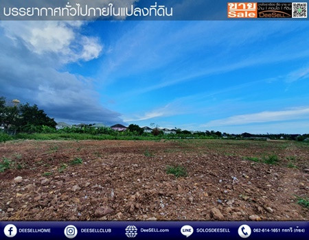 ขายที่ดินสัตหีบ ใกล้สนามบิน อู่ตะเภา ติดถนนสุขุมวิท 14 ไร่ ราคาไม่แรง