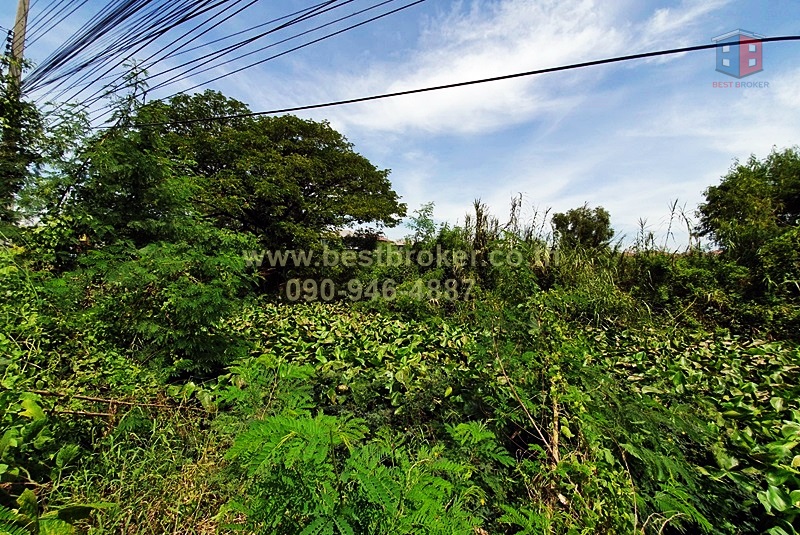 ขาย ที่ดิน ถมแล้ว 600 ตร.ว. หน้ากว้าง 66 x 38 เมตร ถนน จงขนอม