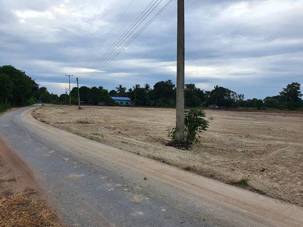 ขายที่ดินสุพรรณบุรี อ.สามชุก เริ่มต้นที่ล๊อคละ 250,000 บ. ติดชุมชนติดถนน ทำเลและบรรยากาศดี โทร 063-9269699