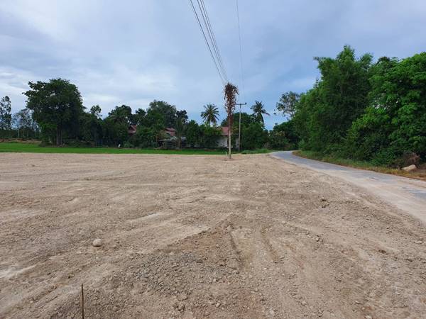 ขายที่ดินสุพรรณบุรี อ.สามชุก เริ่มต้นที่ล๊อคละ 250,000 บ. ติดชุมชนติดถนน ทำเลและบรรยากาศดี โทร 063-9269699