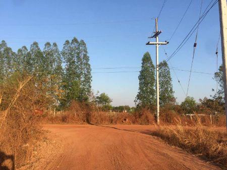 ขาย ที่ดิน จำนวน 6 ไร่ต.สามพร้าว อ.เมืองอุดรธานี 6 ไร่ พร้อมออกค่าโอนให้ทั้งหมด.