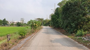 ขายที่ดินเดิม ขุดเป็นล่องสวน ปลูกต้นไม้ล้อมรอบ 2ไร่ นนทบุรี