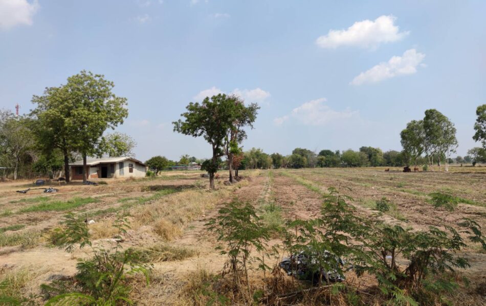 ขายหรือเช่า ที่ดิน สามารถทำการเกษตรได้ อำเภอสามชุก จังหวัดสุพรรณบุรี โทร 085 844 3553