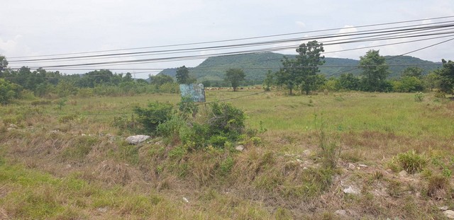 ขายที่ดินติดถนนสุรนารายณ์ เส้น 205 ตรงข้ามสถานีไฟฟ้าส่วนภูมิภาค ชัยบาดาล2 จ.ลพบุรี