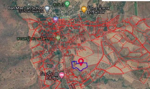 ขายที่ดิน 14ไร่ 2งาน 1.45ล้านบาท ถมแล้ว ต.แม่ลาน อ.ลี้ ลำพูน