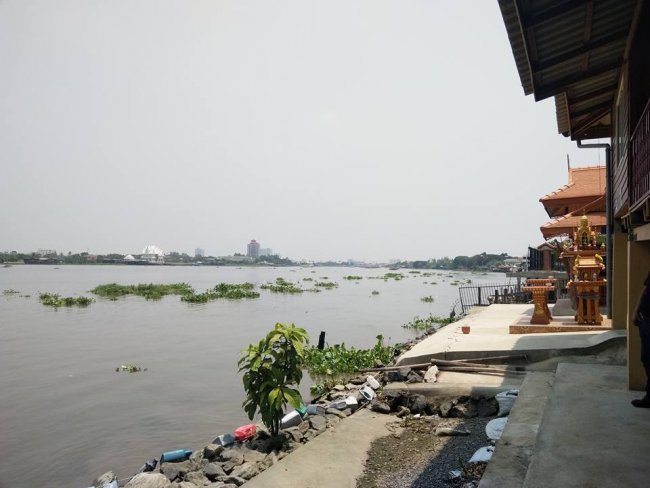 ขายที่ดินติดแม่น้ำเจ้าพระยา 1ไร่ 2ไร่ 3ไร่ 7ไร่ 14ไร่ 32ไร่ นนทบุรี ปทุมธานี ขอผู้ซื้อจริง ติดต่อ 0809169359 ก้อง