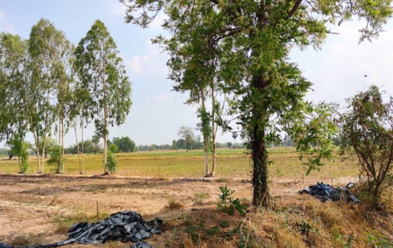 ขายหรือเช่า ที่ดิน สามารถทำการเกษตรได้ อำเภอสามชุก จังหวัดสุพรรณบุรี โทร 085 844 3553