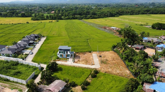 ขายที่ดินเชียงใหม่ใกล้เมือง วิวธรรมชาติ ราคาจับต้องได้