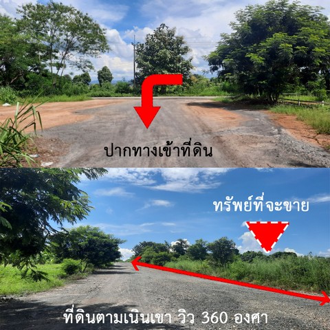 ขายที่ดินแม่แตง วิวเนินภูเขา ใกล้สถานที่ท่องเที่ยว