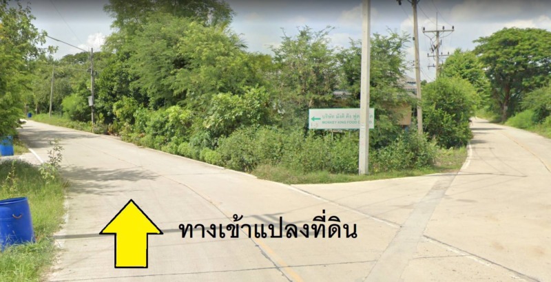 ขาย ที่ดิน ขนาด 3 ไร่ 76 ตร.ว. ต.เชียงรากใหญ่ อ.สามโคก จ.ปทุมธานี