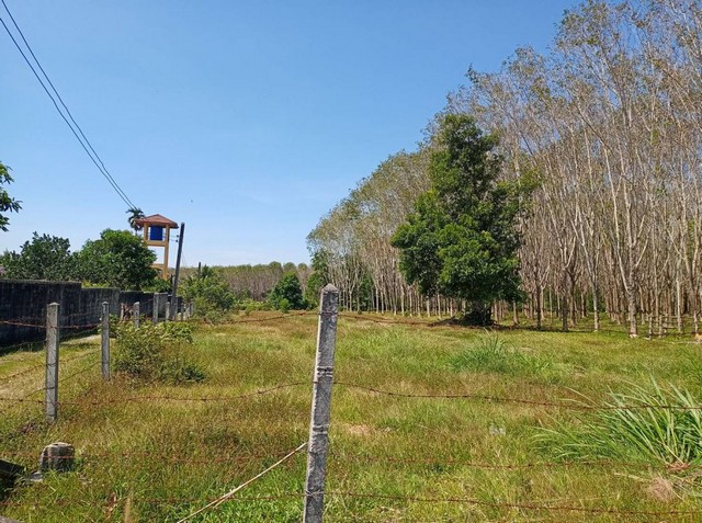 For Sales  Land Thalang, Kanan Garden view 4 Rai 3 Ngan 62 SQ.M.