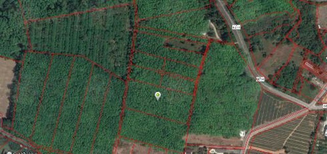 For Sales  Land Thalang, Kanan Garden view 4 Rai 3 Ngan 62 SQ.M.