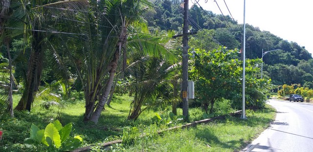 For Sales : Land Phuket Town,Wichit 39 sqm. land has a title deed