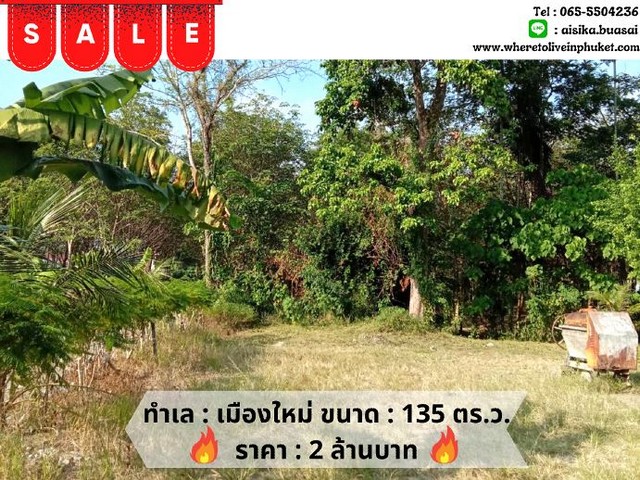 For Sales : Land At Thalang Garden View have 135 sqw.