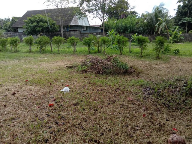 For Sales : Land At Thalang Garden View have 135 sqw.