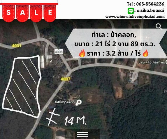 For Sales : Land Thalang, Paklok, Gardenview, 21 Rai 2 Ngan 89 SQ.W.